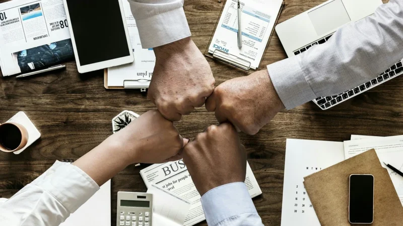 Najlepsze programy dla firm w Poznaniu